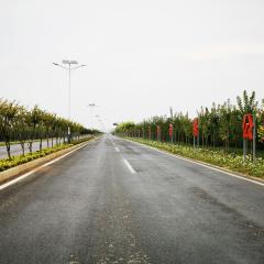 國(guó)有三門峽陜州區(qū)S245西張村段道路沿線綠化一標(biāo)段